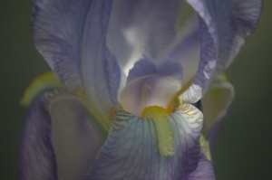 Uber Exif Photo