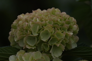 Uber Exif Photo