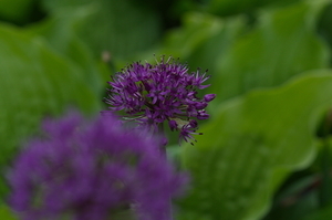 Uber Exif Photo