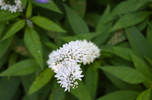 Uber Exif Photo