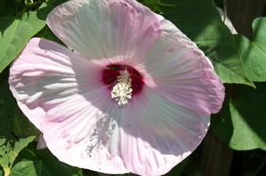 Uber Exif Photo