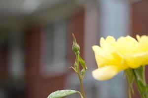 Uber Exif Photo