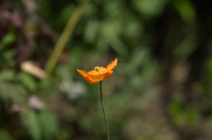 Uber Exif Photo