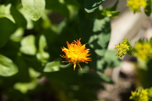 Uber Exif Photo