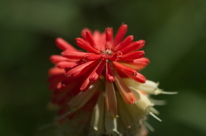Uber Exif Photo