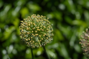Uber Exif Photo