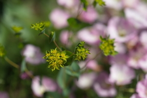 Uber Exif Photo