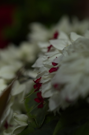 Uber Exif Photo