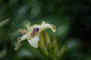 Uber Exif Photo