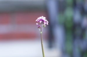 Uber Exif Photo