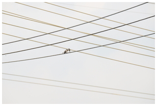 Uber Exif Photo