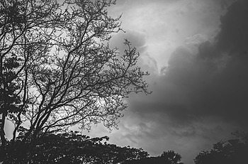 Uber Exif Photo