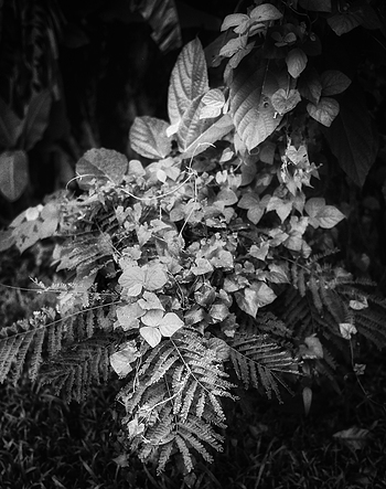 Uber Exif Photo