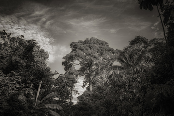 Uber Exif Photo