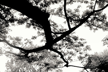 Uber Exif Photo