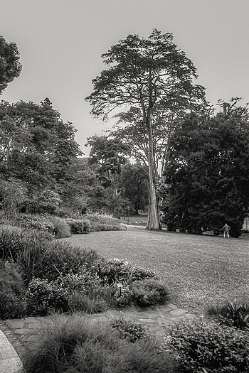 Uber Exif Photo