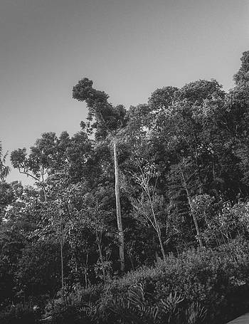 Uber Exif Photo