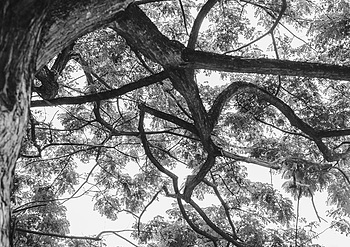 Uber Exif Photo
