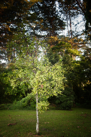 Uber Exif Photo