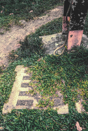Uber Exif Photo