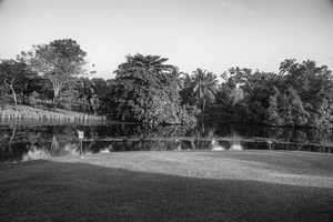 Uber Exif Photo