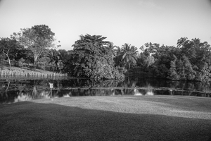 Uber Exif Photo