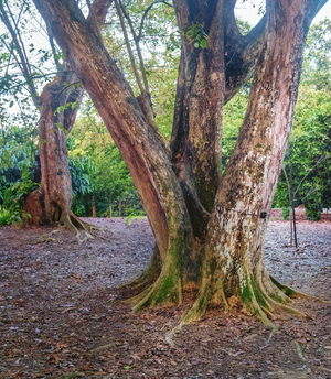 Uber Exif Photo