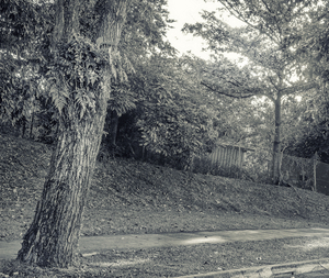 Uber Exif Photo