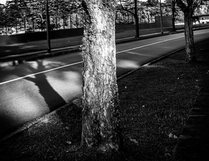 Uber Exif Photo