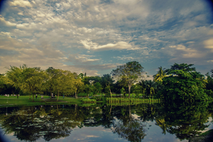 Uber Exif Photo