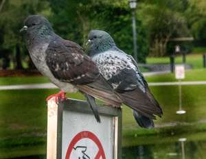 Uber Exif Photo