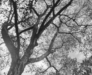 Uber Exif Photo