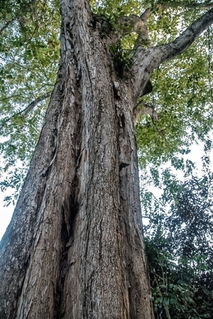 Uber Exif Photo