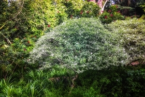 Uber Exif Photo