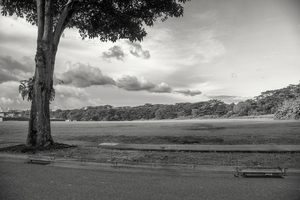 Uber Exif Photo