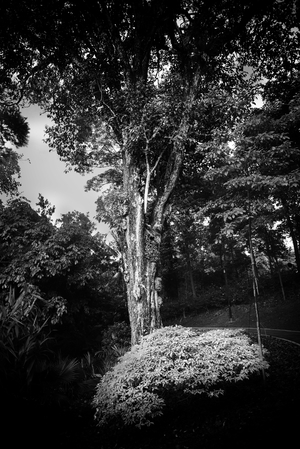 Uber Exif Photo