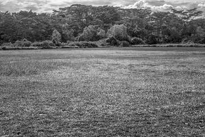 Uber Exif Photo