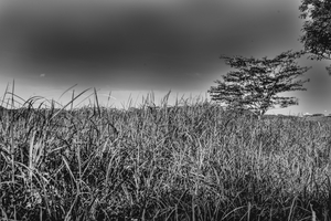 Uber Exif Photo