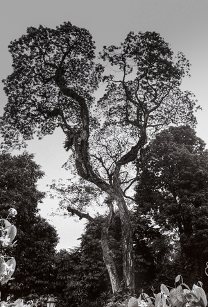 Uber Exif Photo