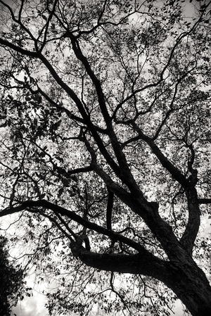 Uber Exif Photo