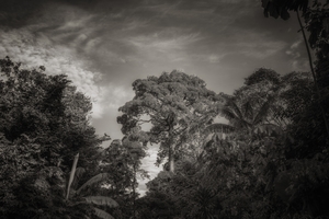 Uber Exif Photo