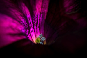 Uber Exif Photo
