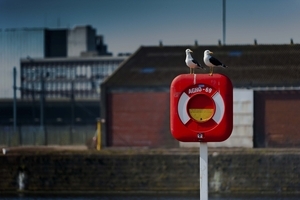 Uber Exif Photo