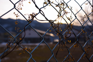 Uber Exif Photo