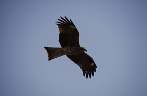 Uber Exif Photo