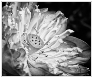 Uber Exif Photo