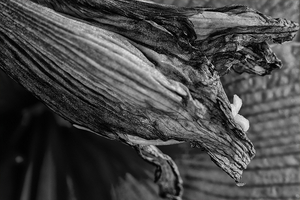 Uber Exif Photo