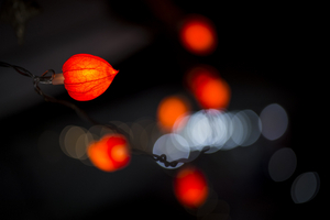 Uber Exif Photo
