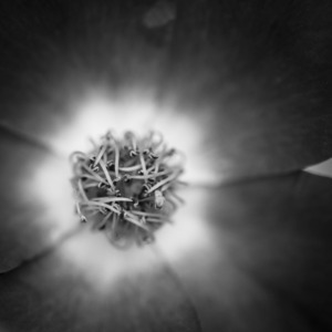 Uber Exif Photo