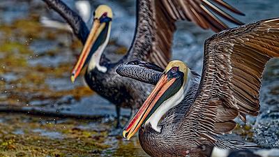 Uber Exif Photo